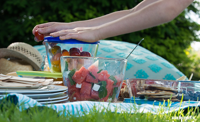 punch combineren Volwassenheid Picknicken met kinderen tips + lekkere en handige recepten
